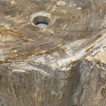 LAVABO MADERA FOSILIZADA - Imagen 3