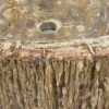 LAVABO MADERA FOSILIZADA - Imagen 4