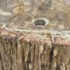 LAVABO MADERA FOSILIZADA - Imagen 5