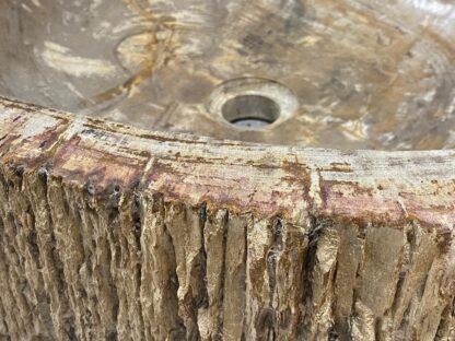 LAVABO MADERA FOSILIZADA