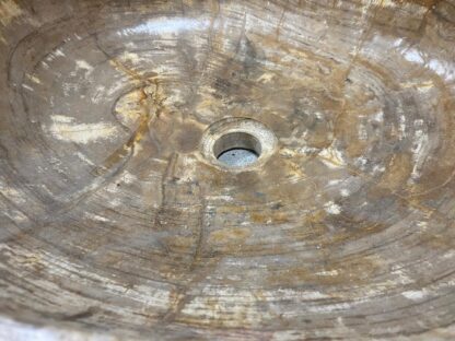 LAVABO MADERA FOSILIZADA - Imagen 7