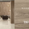Origin Sand 20x120 Porcelánico Rectificado (TAu) - Imagen 5