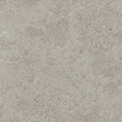 Roadstone Tan Porcelánico Rectificado 60x60 (Tau) - Imagen 2