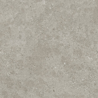 Roadstone Tan Porcelánico Rectificado 60x60 (Tau) - Imagen 4
